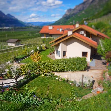 شقة Agritur Zuveith سالورنو المظهر الخارجي الصورة