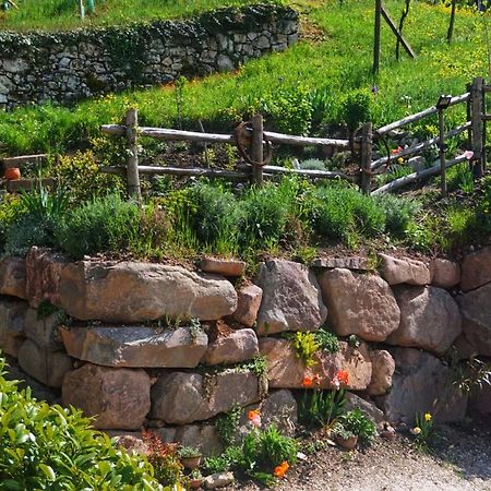 شقة Agritur Zuveith سالورنو المظهر الخارجي الصورة